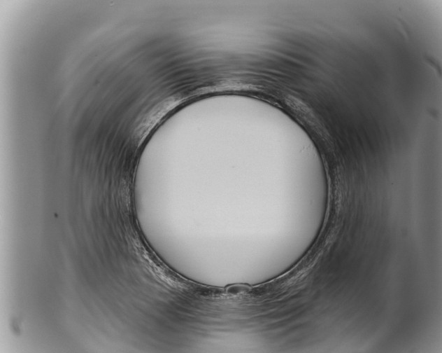 X0000100201177200806201414