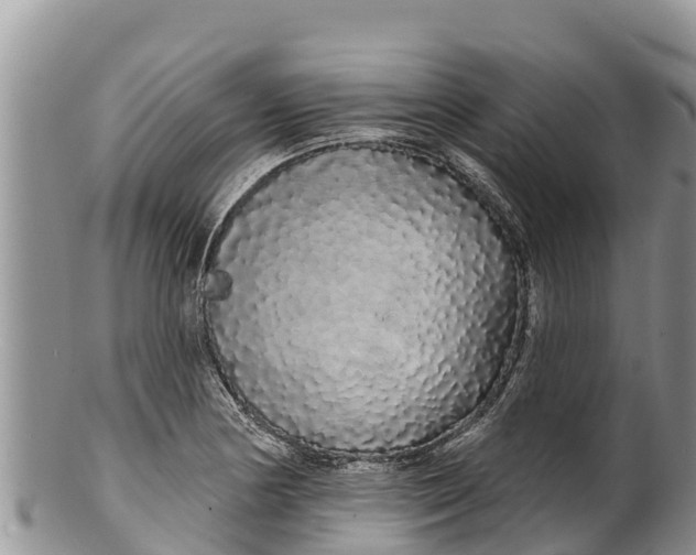 X0000100201178200806201414