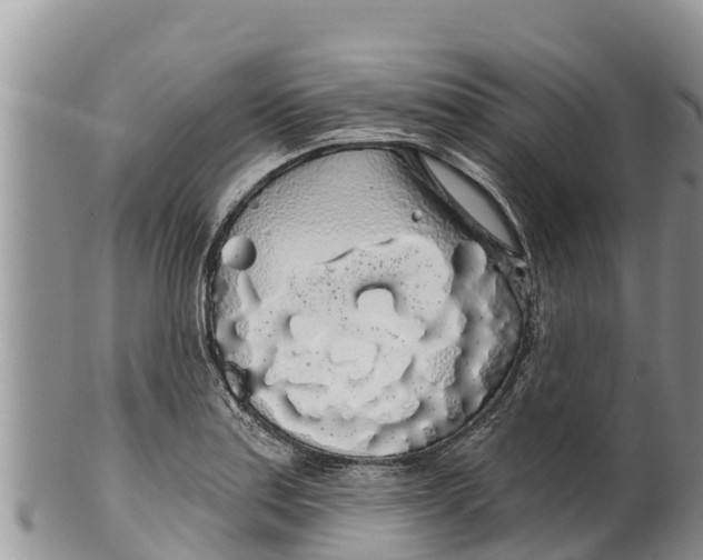 X0000100201179200806201414