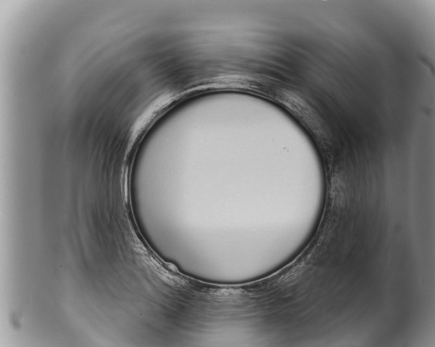 X0000100201180200806201414