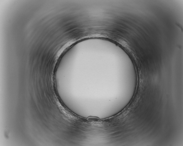 X0000100201181200806201414