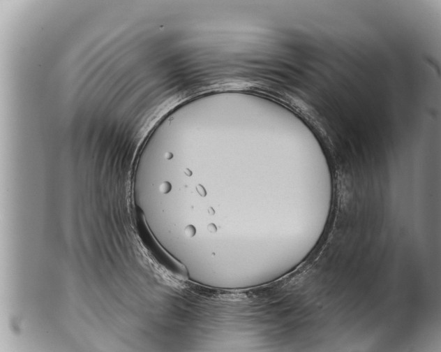 X0000100201186200806201414