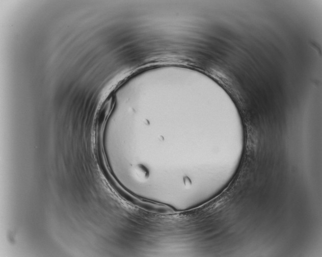 X0000100201188200806201414