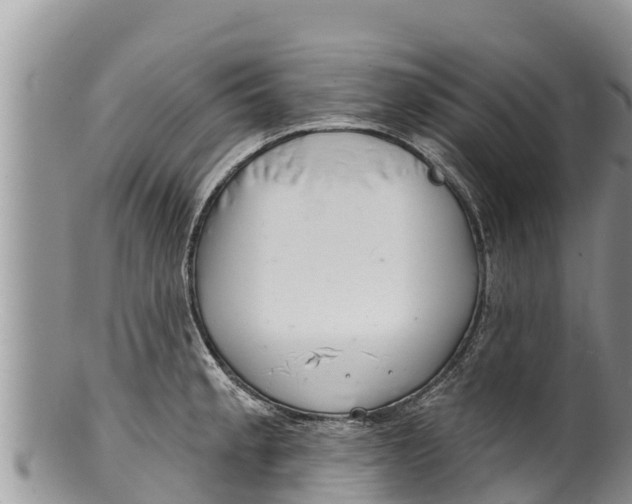 X0000100201189200806201414