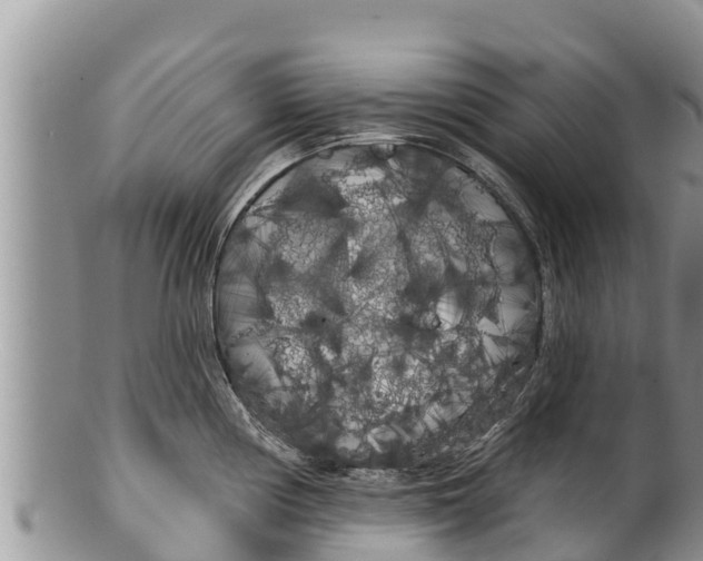 X0000100201194200806201413