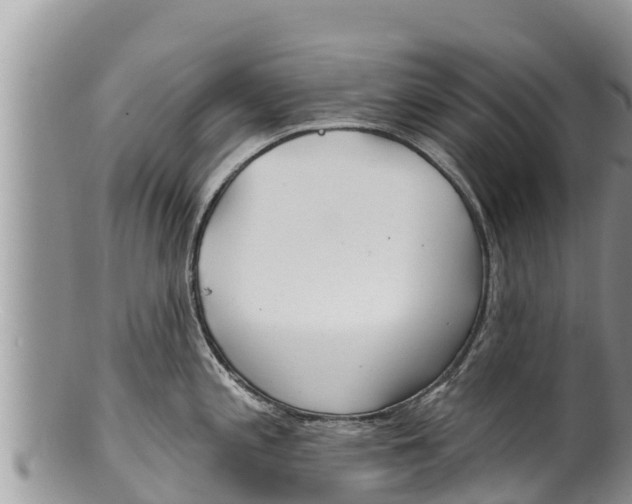 X0000100201197200806201413