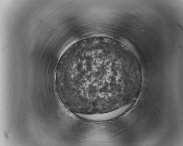 X0000100201198200806201413