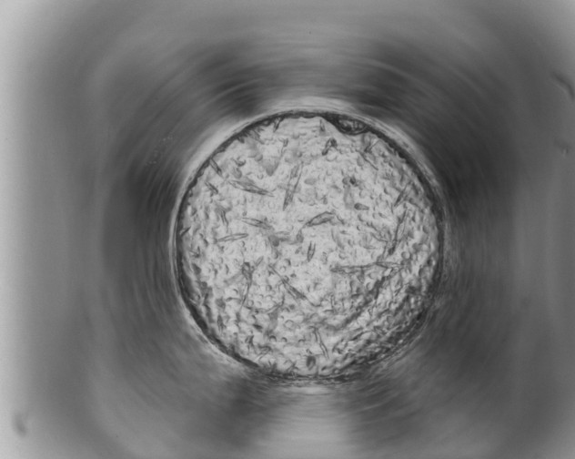 X0000100201199200806201413