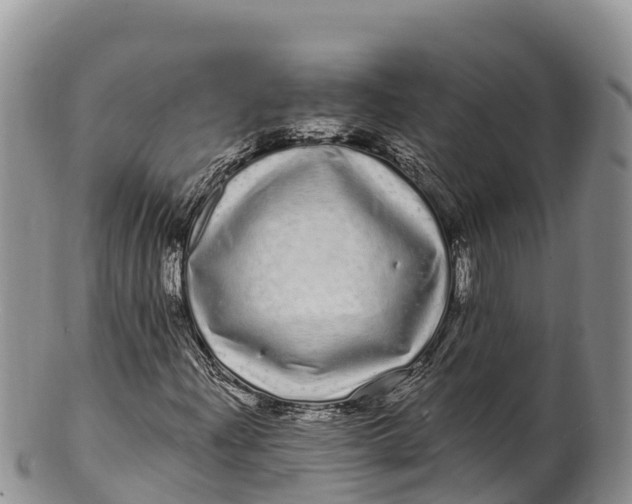 X0000100201204200806201413