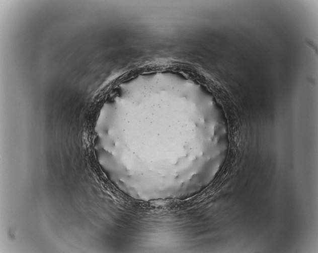 X0000100201206200806201413