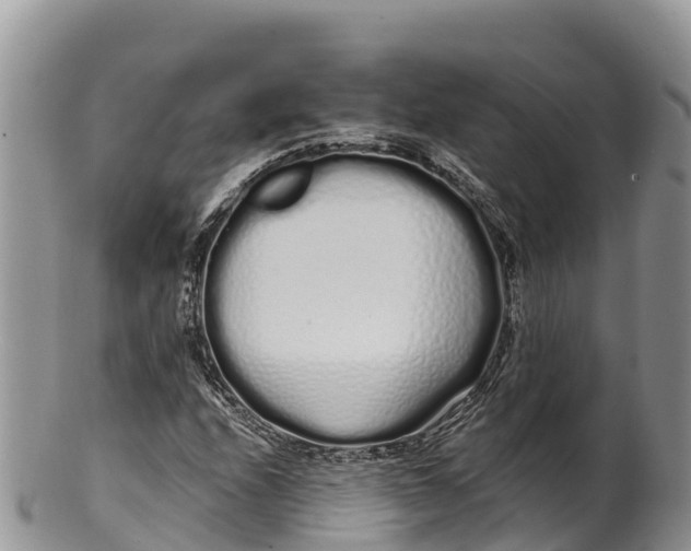 X0000100201208200806201413