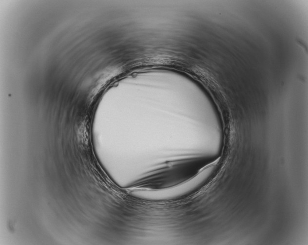 X0000100201210200806201413