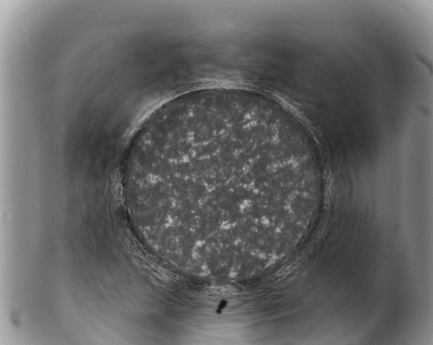 X0000100201215200806201413