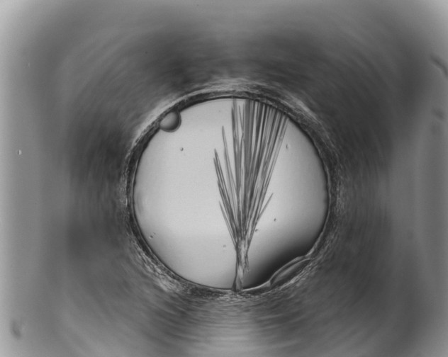 X0000100201216200806201413