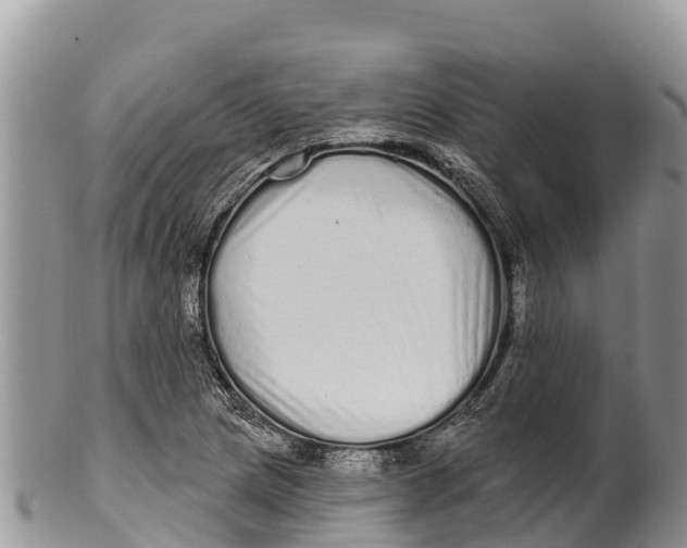 X0000100201217200806201413