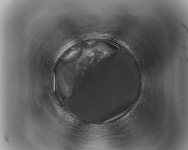 X0000100201219200806201413