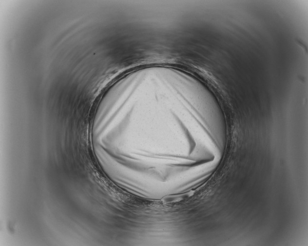 X0000100201220200806201413