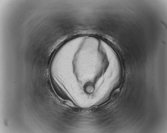 X0000100201221200806201413