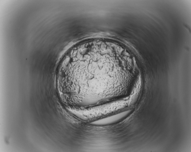 X0000100201224200806201413