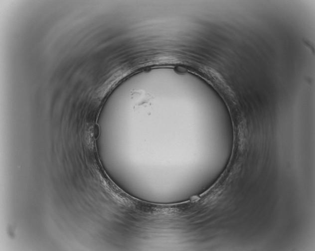 X0000100201225200806201413