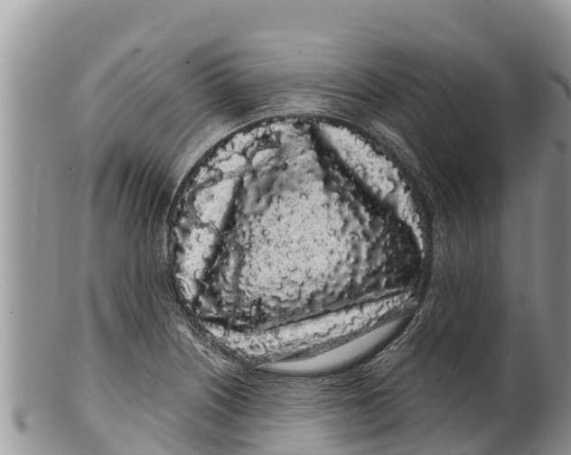 X0000100201226200806201413