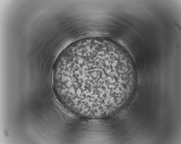 X0000100201227200806201413