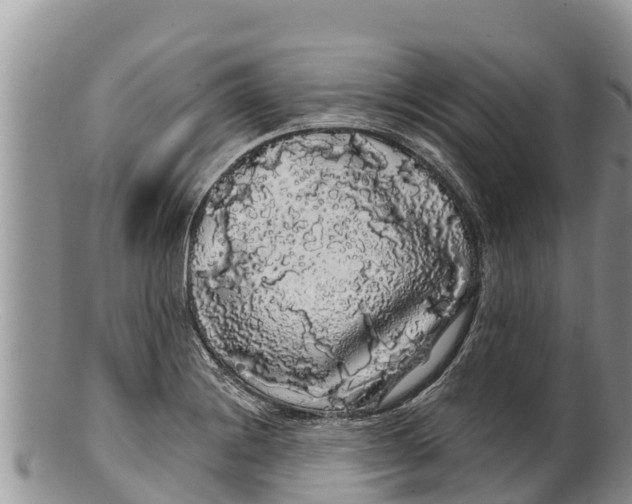 X0000100201228200806201413