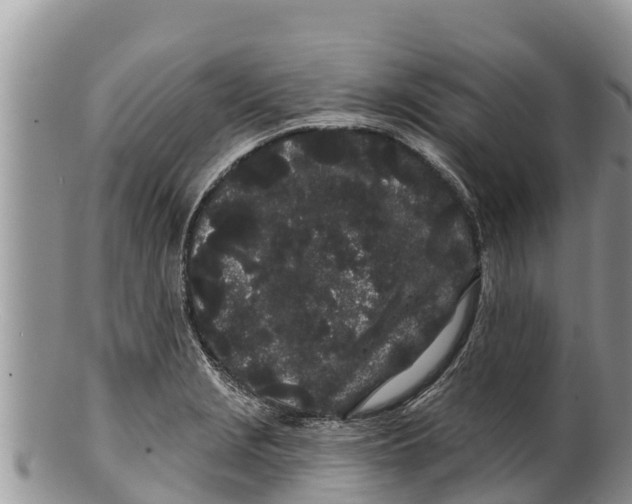 X0000100201229200806201413