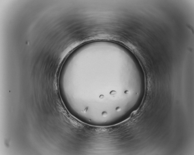 X0000100201230200806201413