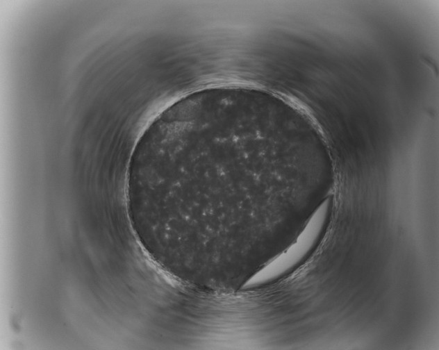 X0000100201231200806201413