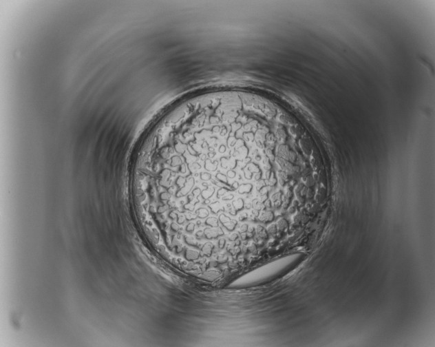 X0000100201232200806201413