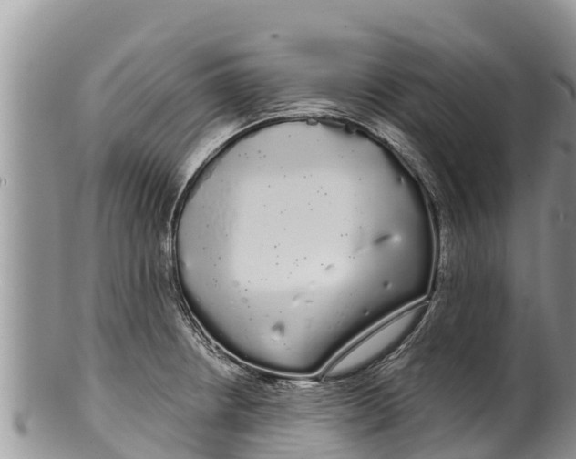 X0000100201234200806201413