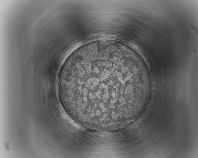 X0000100201235200806201413