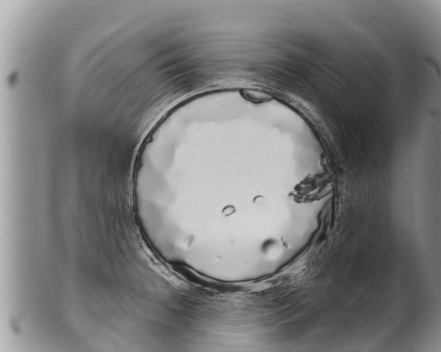 X0000100201236200806201413