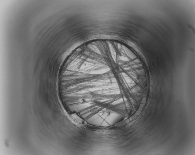 X0000100201237200806201413