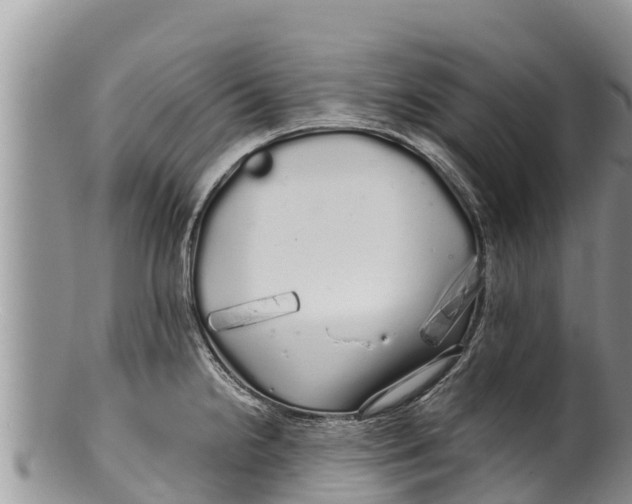 X0000100201238200806201413