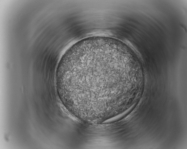 X0000100201240200806201413