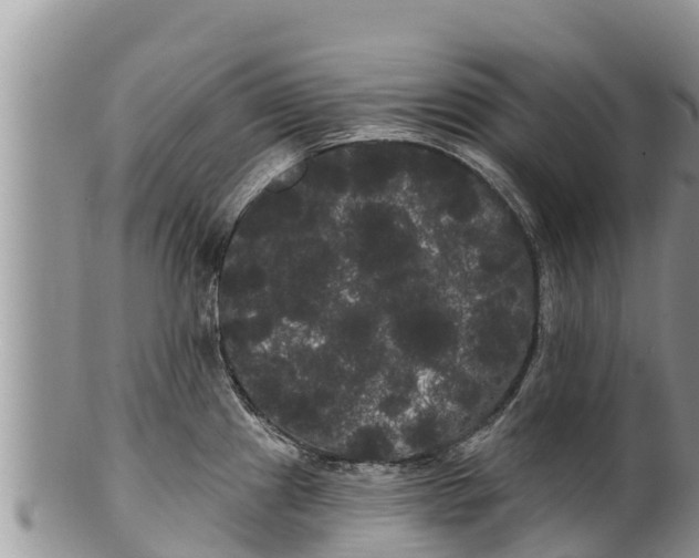 X0000100201241200806201413