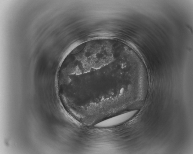 X0000100201243200806201413