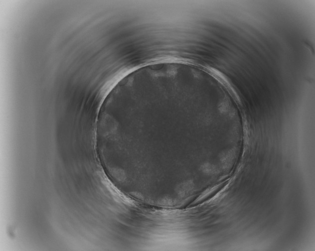 X0000100201244200806201413