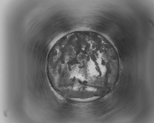 X0000100201245200806201413