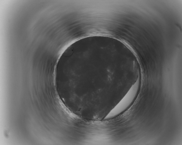 X0000100201246200806201413