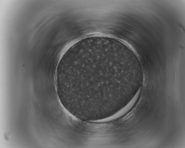 X0000100201247200806201413