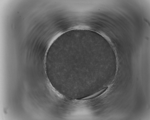 X0000100201248200806201413