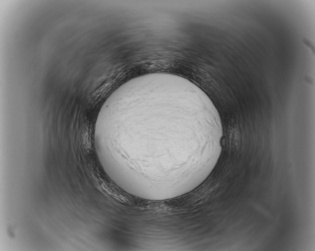 X0000100201250200806201413