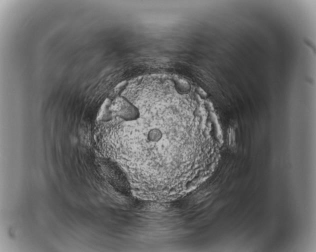 X0000100201251200806201413