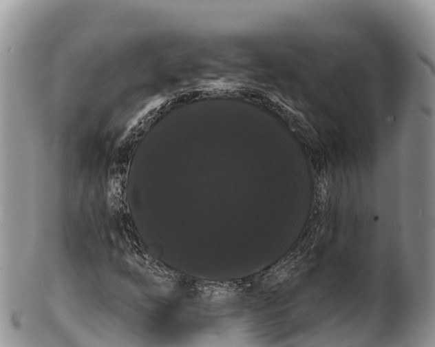 X0000100201254200806201413