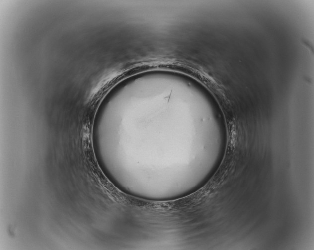 X0000100201255200806201413