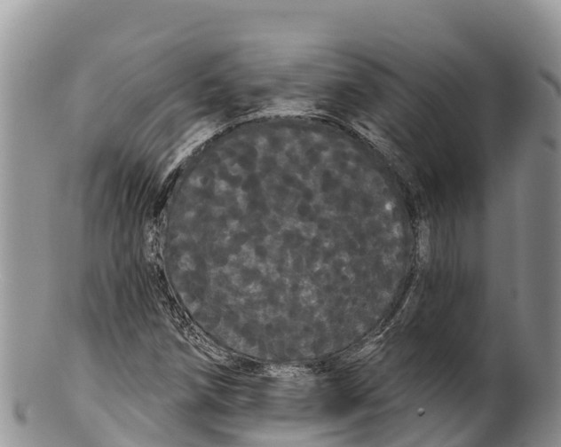 X0000100201258200806201413