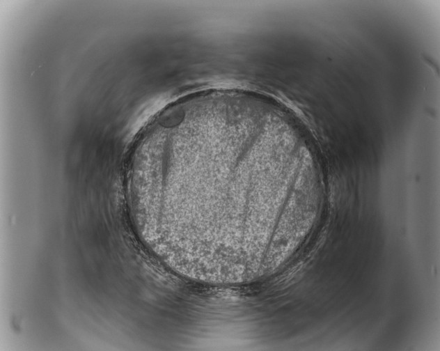 X0000100201263200806201412